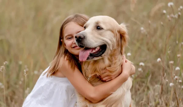 Le golden retriever Wally : un phénomène viral de câlins sur TikTok