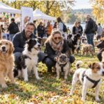 semaine nationale du chien