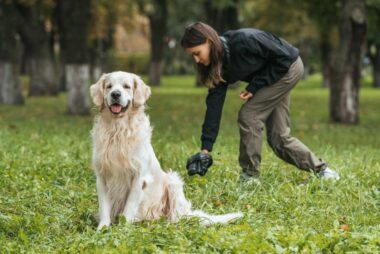 application ramasser crottes de chiens