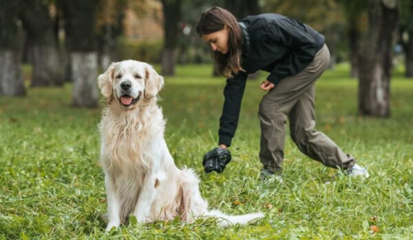 application ramasser crottes de chiens