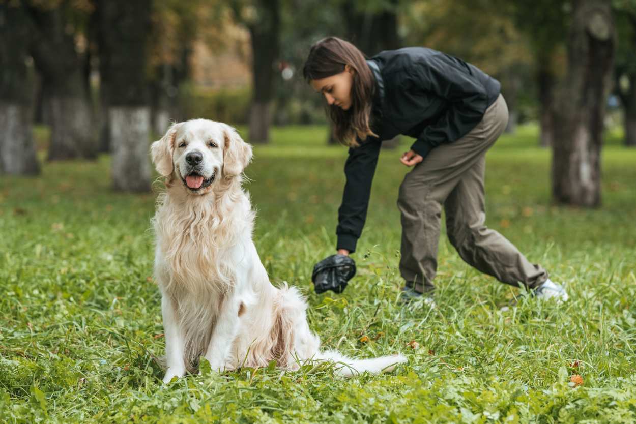 application ramasser crottes de chiens