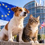 nouvelles règles européennes chien chat