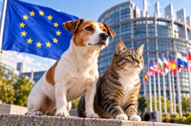 nouvelles règles européennes chien chat