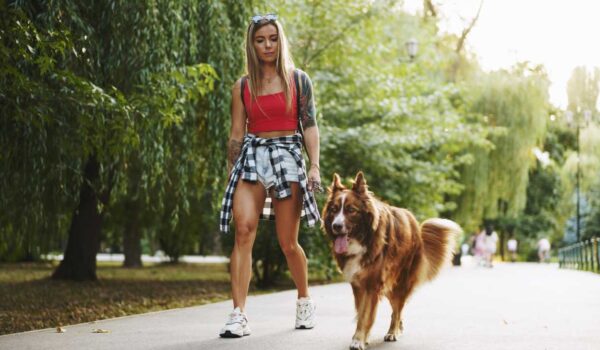 etude sur la taille des parcs ou promener son chien