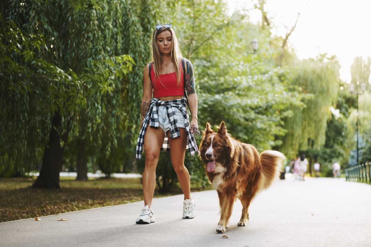 etude sur la taille des parcs ou promener son chien